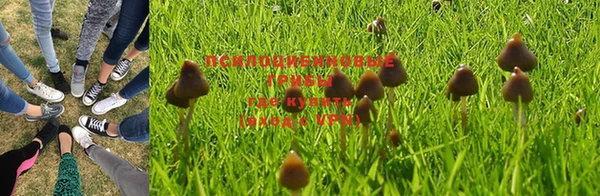 не бодяженный Горнозаводск