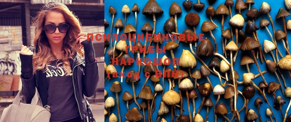 дживик Горняк