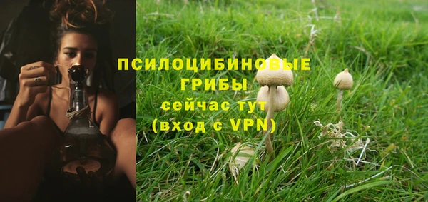 не бодяженный Горнозаводск