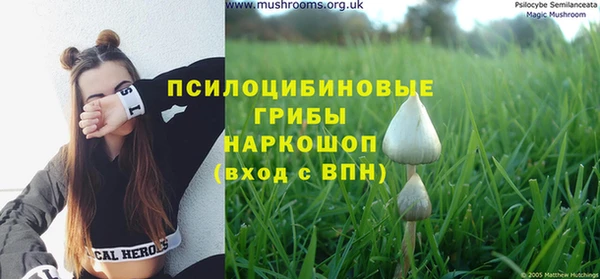 дживик Горняк