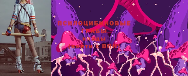 дживик Горняк