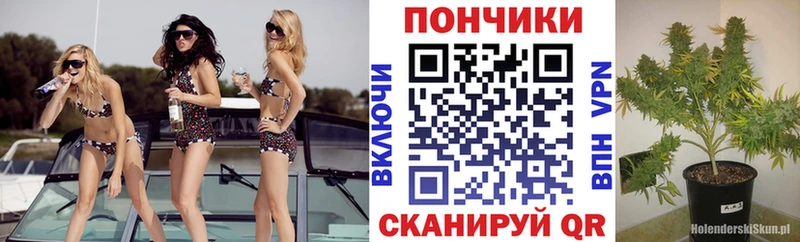 Марихуана MAZAR  Купить где  Ува 